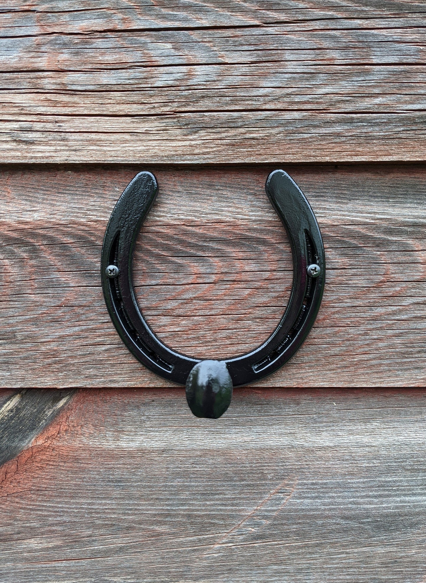 Railroad Spike Horseshoe Hook- front