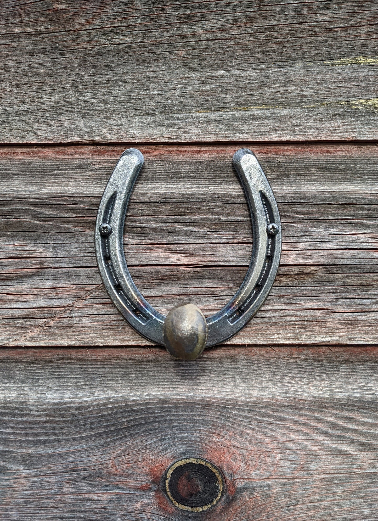 Railroad Spike Horseshoe Hook- hind