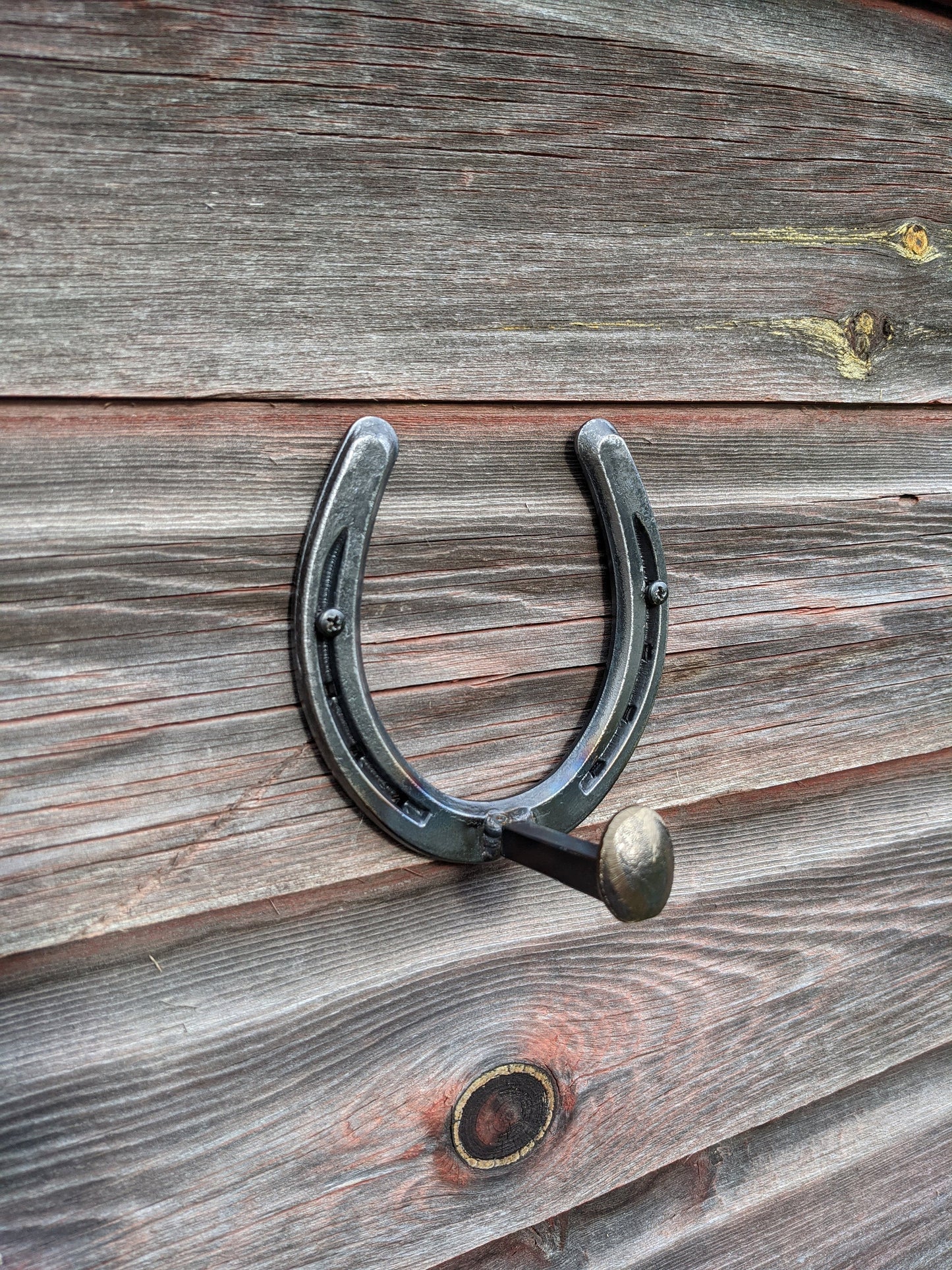 Railroad Spike Horseshoe Hook- hind